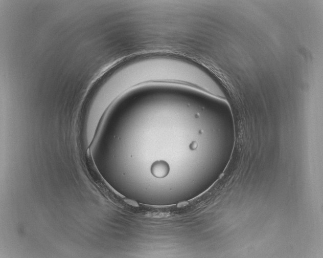 X0000115360440200911171356