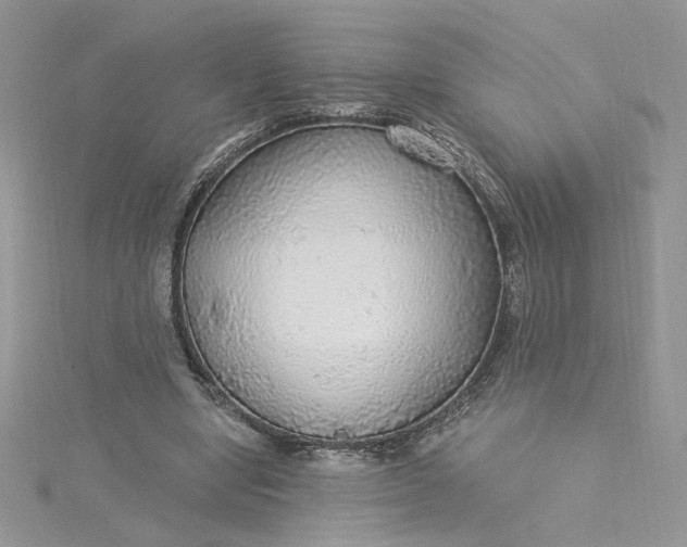 X0000115360442200911171356