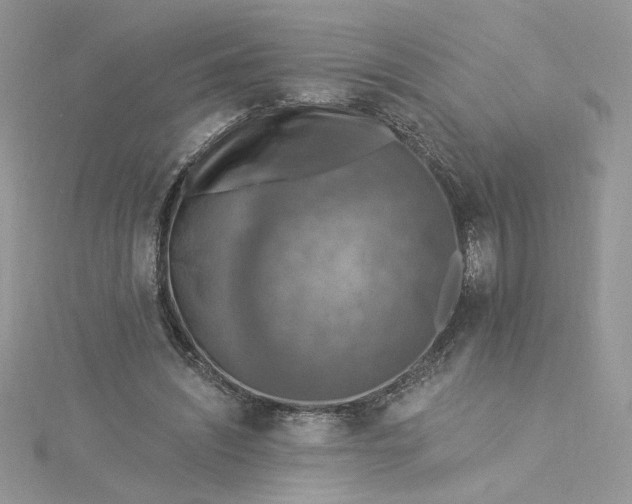 X0000115360444200911171356