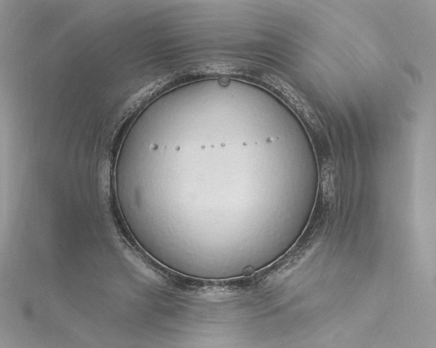 X0000115360445200911171356