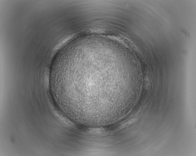 X0000115360446200911171356
