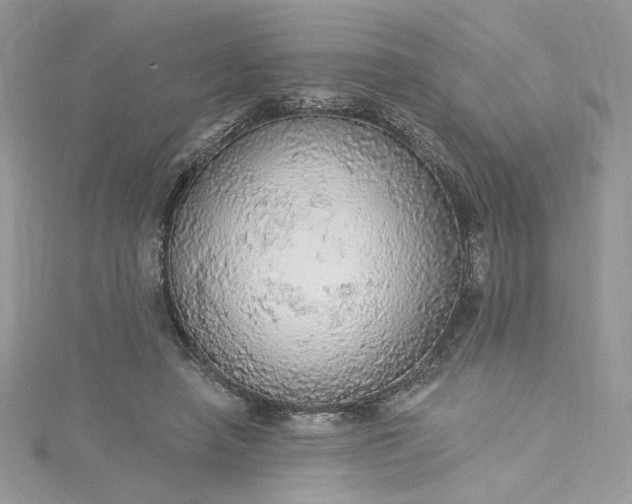 X0000115360450200911171356