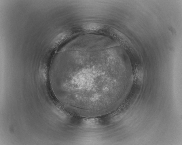 X0000115360452200911171356