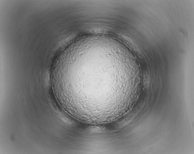 X0000115360453200911171356