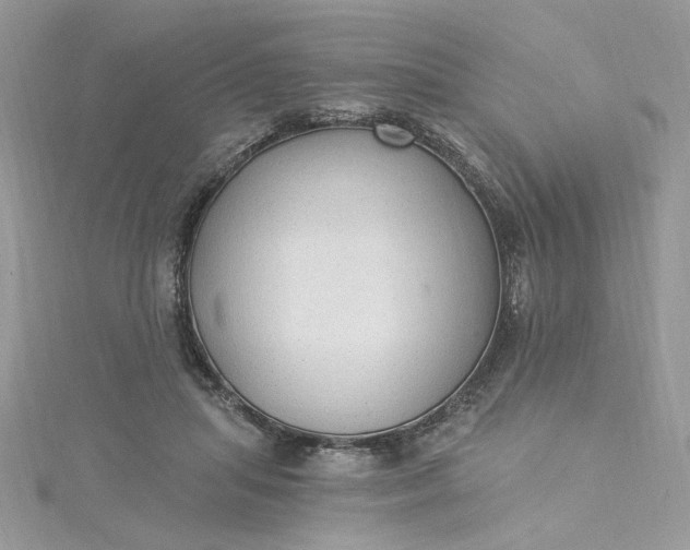 X0000115360455200911171356