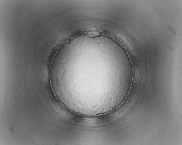 X0000115360457200911171356