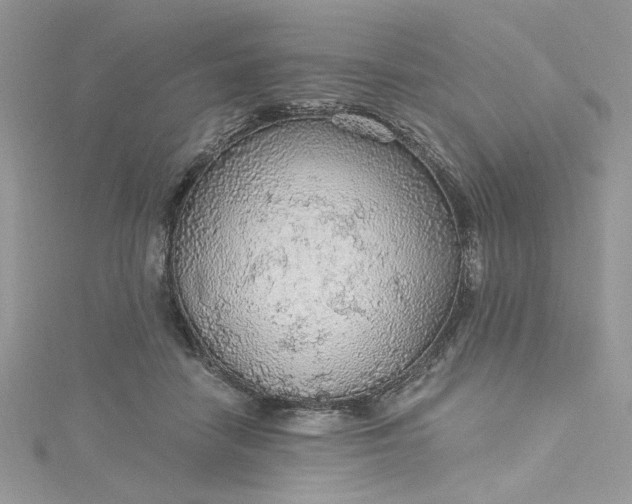 X0000115360458200911171356