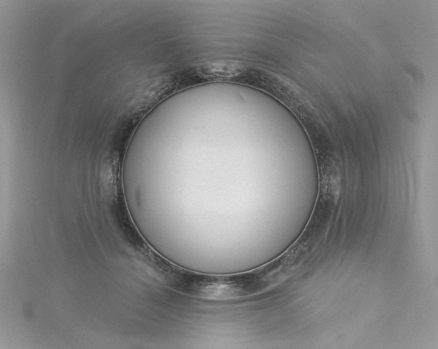X0000115360460200911171356