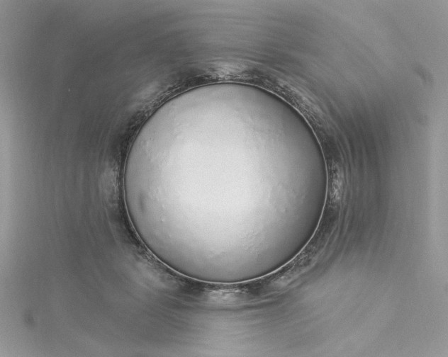 X0000115360461200911171356