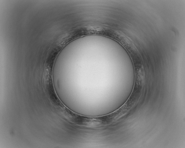 X0000115360463200911171356