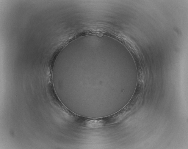 X0000115360465200911171356