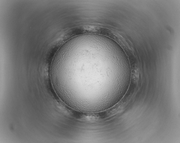 X0000115360466200911171356