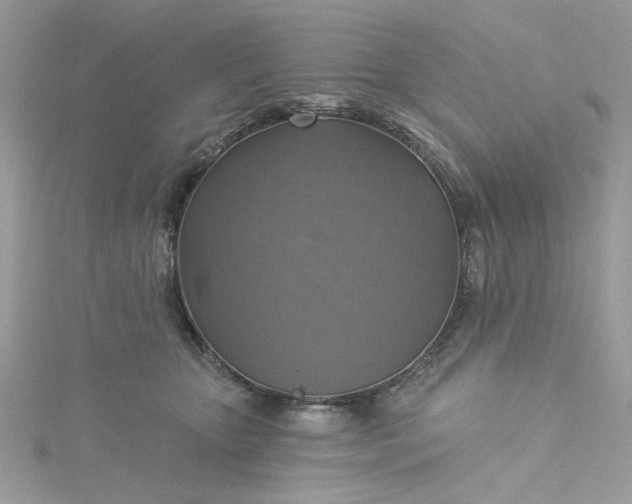 X0000115360467200911171356