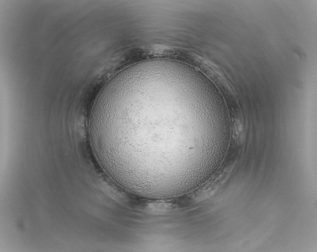 X0000115360470200911171356