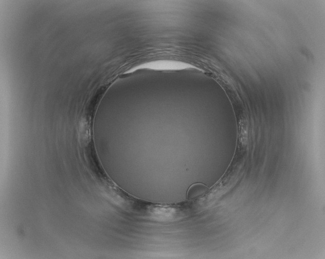 X0000115360471200911171356