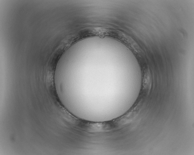 X0000115360473200911171356