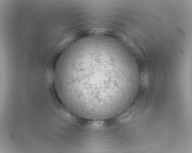 X0000115360474200911171356