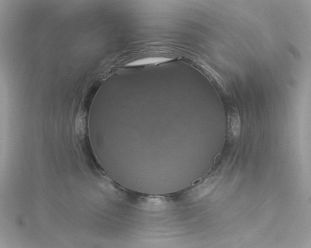 X0000115360475200911171356