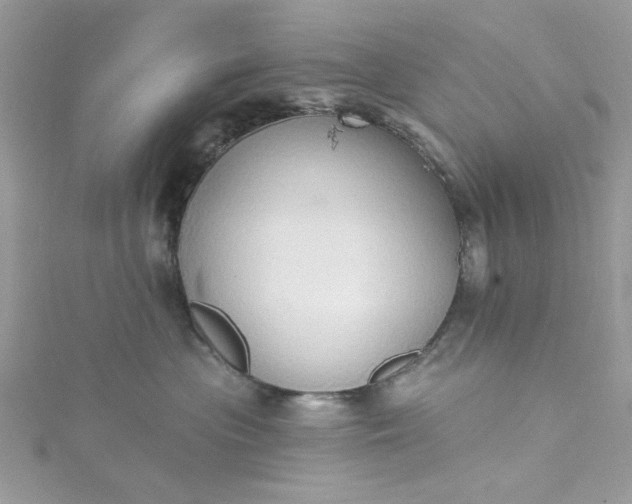 X0000115360477200911171356