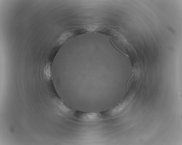 X0000115360479200911171356