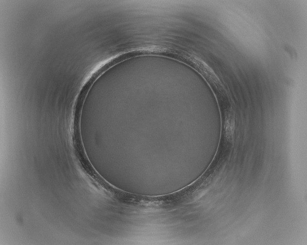 X0000115360484200911171356