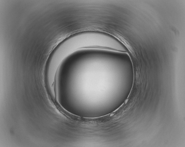 X0000115360485200911171356