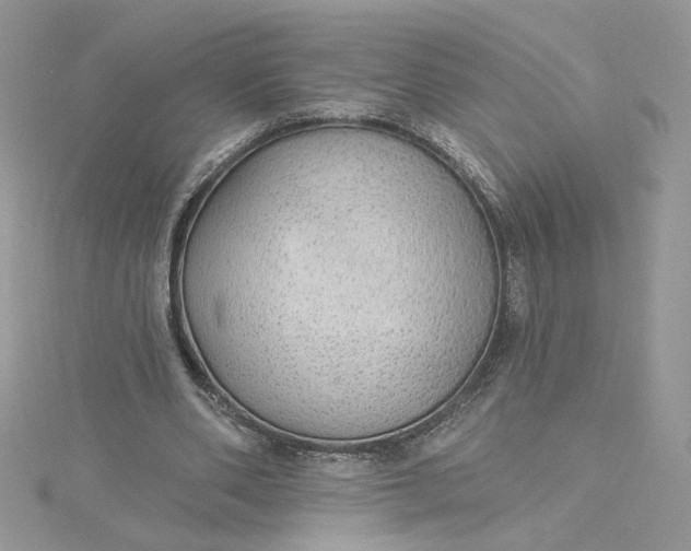 X0000115360486200911171356