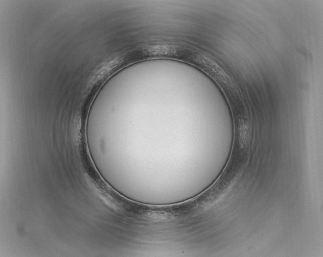 X0000115360490200911171356