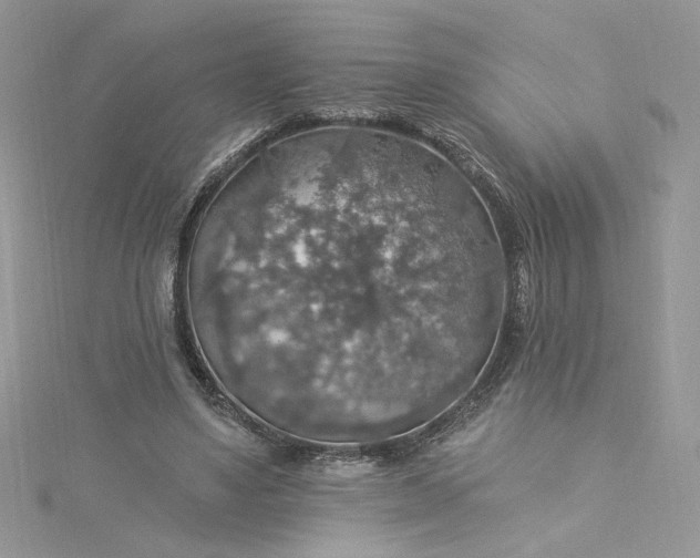 X0000115360491200911171356