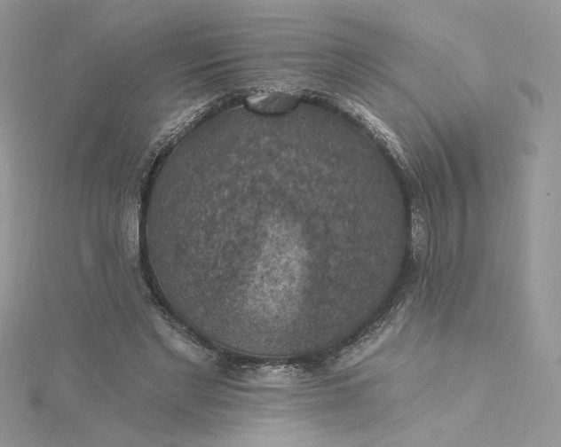 X0000115360493200911171356