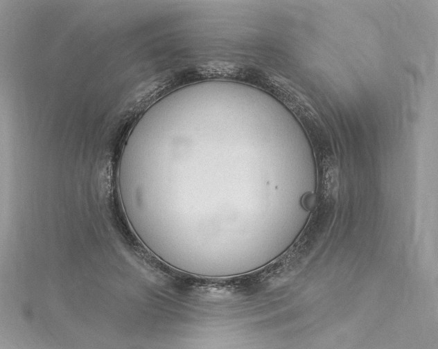 X0000115360498200911171355