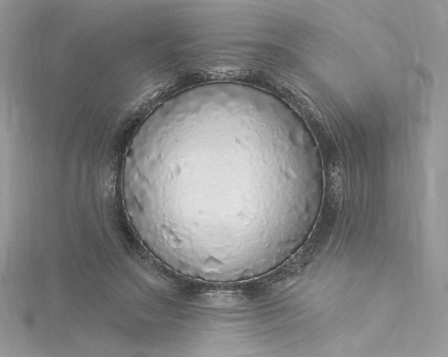 X0000115360499200911171355