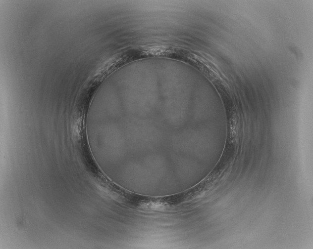 X0000115360503200911171355