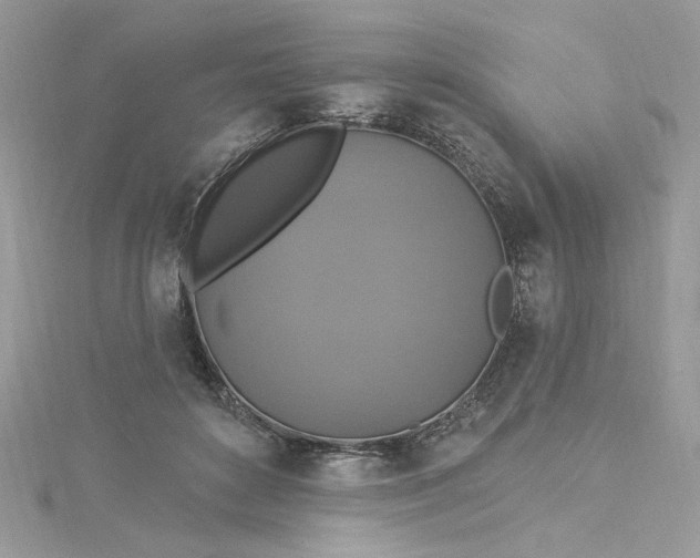 X0000115360504200911171355