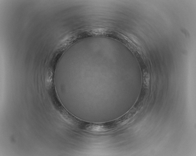 X0000115360507200911171355
