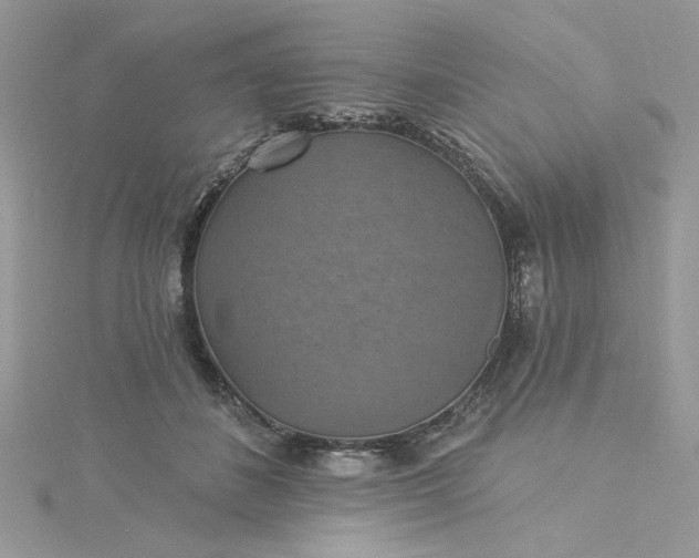X0000115360508200911171355