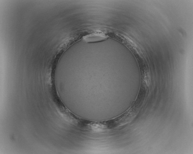 X0000115360512200911171355