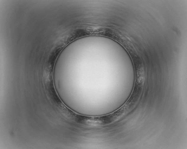 X0000115360515200911171355