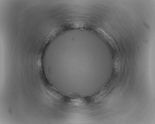X0000115360516200911171355