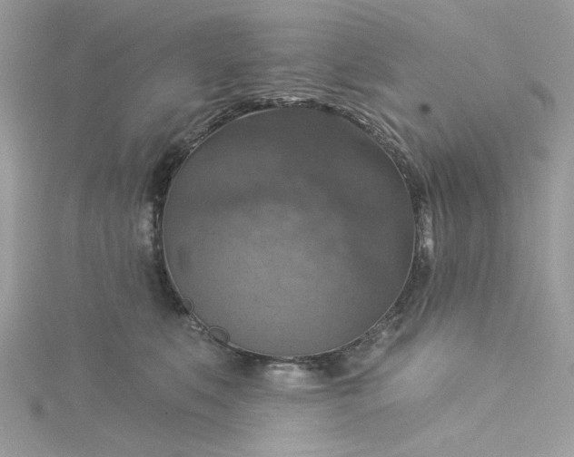 X0000115360519200911171355