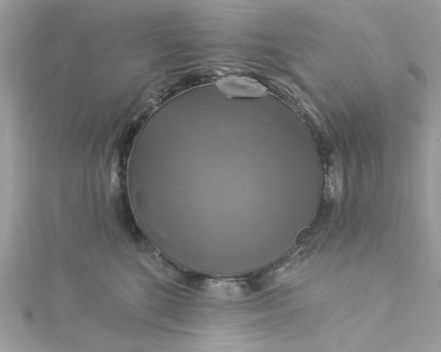 X0000115360520200911171355