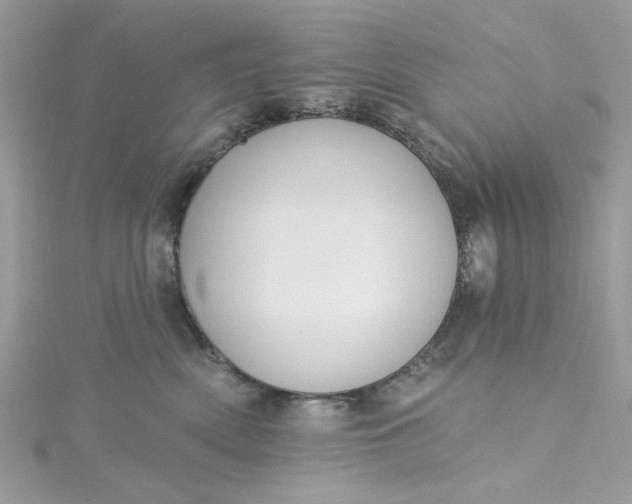 X0000115360522200911171355