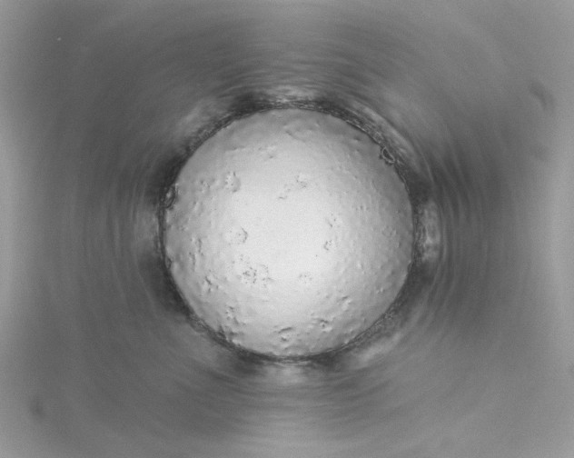 X0000115360523200911171355