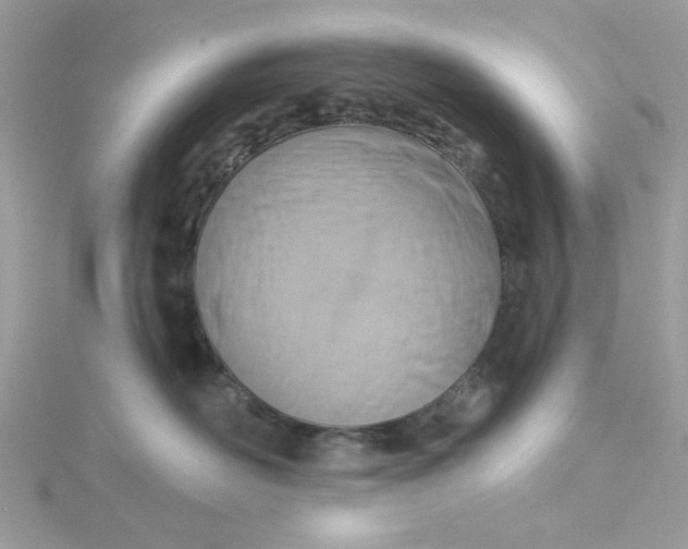 X0000115360526200911171355