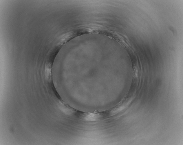 X0000115360527200911171355