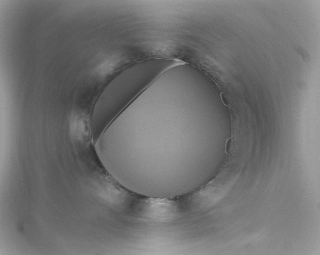 X0000115360528200911171355