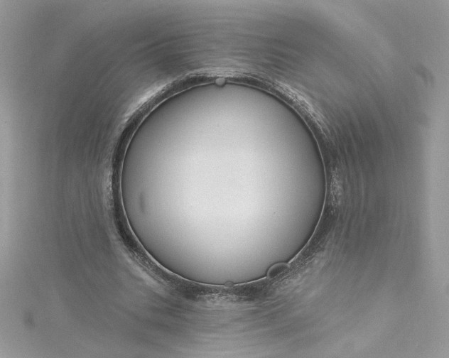 X0000115360535200911171355