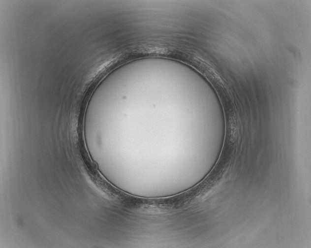 X0000115360538200911171355