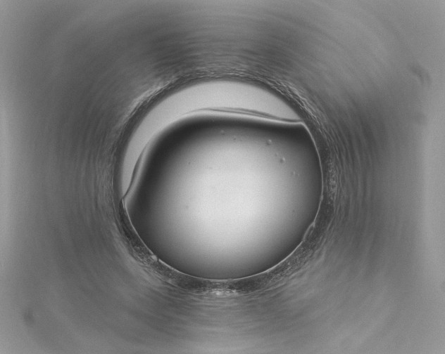 X0000115360543200911171355