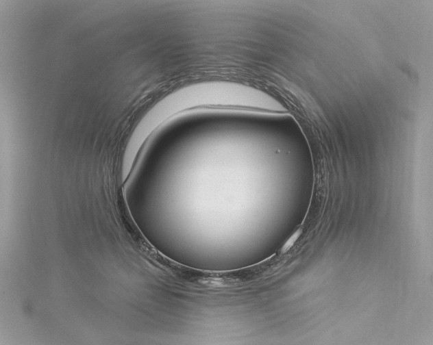 X0000115360558200911171355